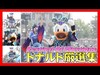 ºoº [ドナルド厳選集 ]TDS フェスティバル・オブ・ミスティーク 2019 Tokyo DisneySEA Festival Of Mystique Donald speci...