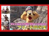 ºoº [ プルート厳選集 ]TDS フェスティバル・オブ・ミスティーク 2019 Tokyo DisneySEA Festival Of Mystique Pluto speci...