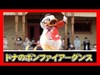 ºoº ドナルドのボンファイアーダンス ／ TDL ベリーミニーリミックス 東京ディズニーランド ベリーベリーミニー