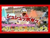 ºoº [ドナルドパターン2停止位置A] TDL ベリーミニーリミックス 東京ディズニーランド Tokyo Disneyland Very Minnie Remix Donald