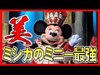 ºoº TDL レジェンドオブミシカのミニー 東京ディズニーランド イッツベリーミニー Tokyo Disneyland It's Very Minnie! The Le...
