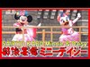 ºoº TDL ディズニー夏祭り 2016 ミニーとデイジーの演舞シーン 東京ディズニーランド Tokyo Disneyland SAIRYOKABU Minnie and Dai...