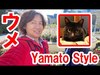 【コラボ配信】ディズニー系YouTuberに訊く#3 Yamato Styleさん登場（2020-03）