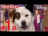 ブログ犬 スタン／第1話｜ディズニーデラックスで配信中！